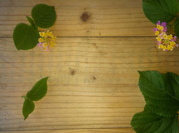 High angle view of leaves on table