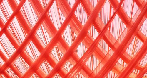 Full frame shot of pattern
