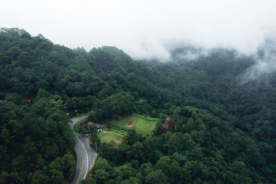 High angle view of road amidst trees in forest