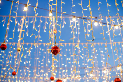 Low angle view of illuminated plants against sky