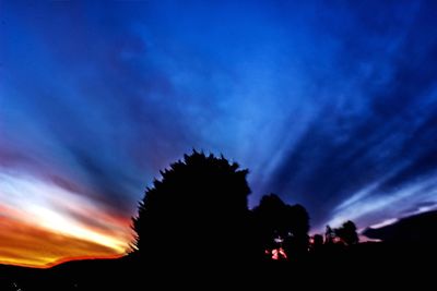 Silhouette trees against sky at sunset