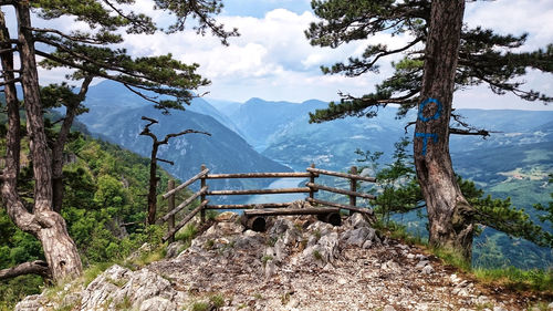 Empty road amidst trees and mountains against sky