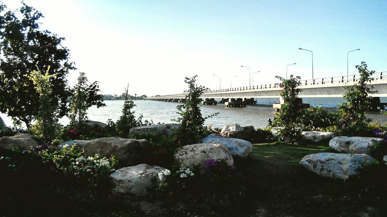 clear sky, water, bird, copy space, rock - object, nature, tree, built structure, sea, tranquility, plant, sky, beauty in nature, tranquil scene, river, day, connection, blue, scenics, outdoors