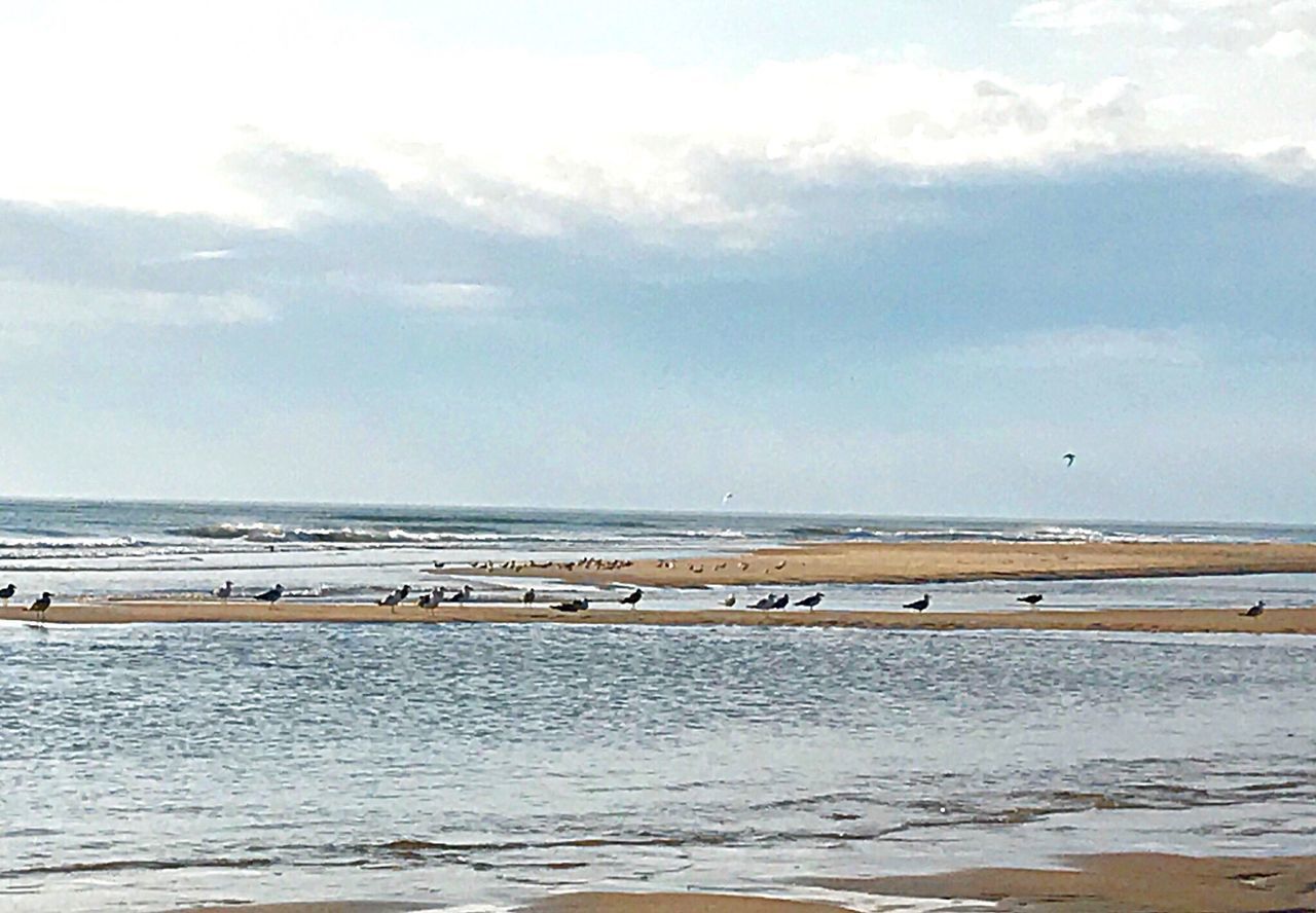 SCENIC VIEW OF BEACH