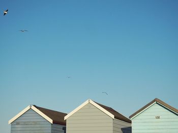 Low angle view of seagulls flying over beach huts against clear sky