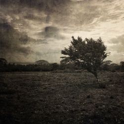 Scenic view of grassy field against cloudy sky