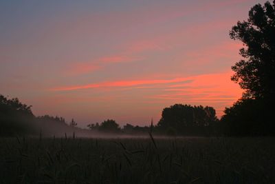 Scenic view of field against sky during sunset