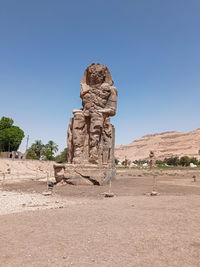 Rear view of man standing on field against clear sky