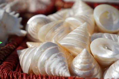 Close-up of candies for sale