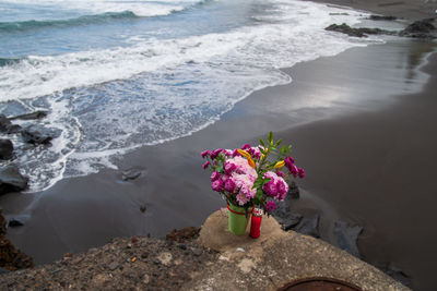 Scenic view of sea, rocks and flowers at beach