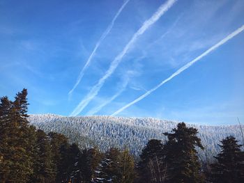 Low angle view of vapor trails in sky