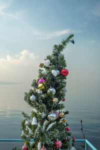 Christmas tree against sky