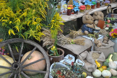 High angle view of potted plants