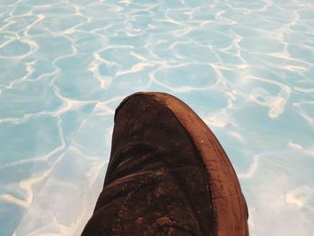 High angle view of swimming pool in sea