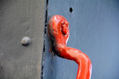 Close-up of red rose