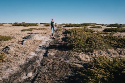 Rear view of man standing on landscape against clear sky