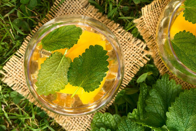 High angle view of green leaves on table