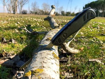 Equipment cutting wood on field