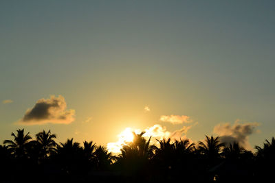 Silhouette palm trees against sky during sunset