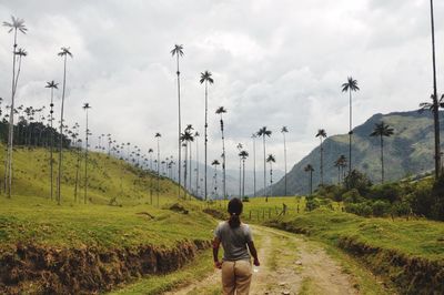 Rear view of man standing on mountain against cloudy sky