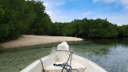 Scenic view of river by trees against sky