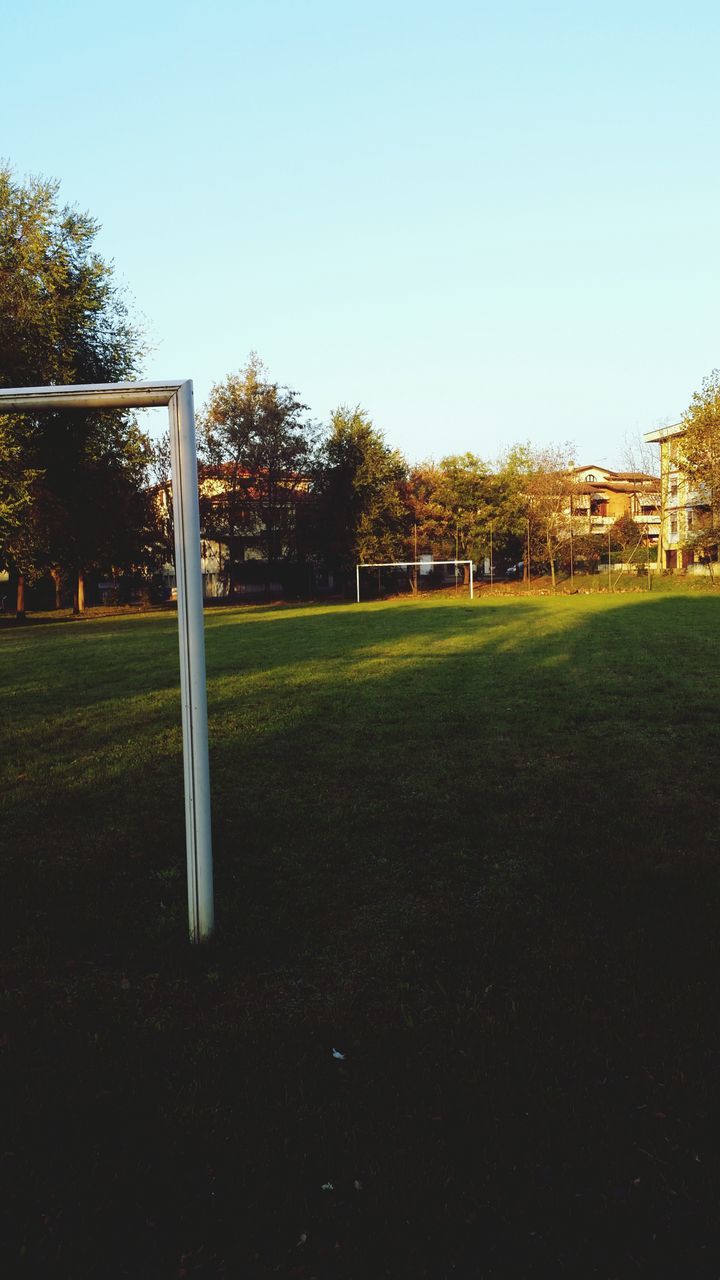 tree, clear sky, grass, field, green color, copy space, park - man made space, grassy, growth, tranquility, tranquil scene, blue, lawn, landscape, nature, park, sunlight, day, sky, shadow