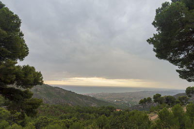 Scenic view of landscape against sky