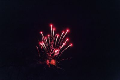 Low angle view of firework display against sky at night