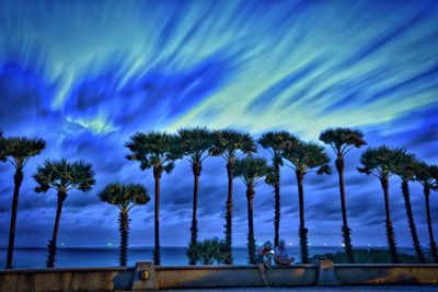 Low angle view of palm trees against blue sky