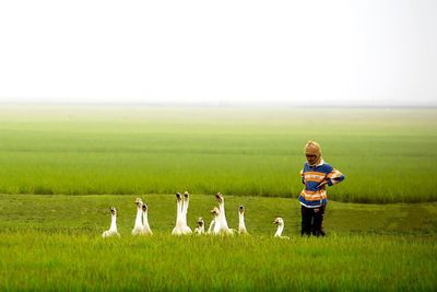 Scenic view of grassy field against sky