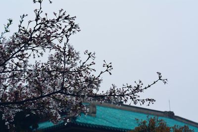 View of trees against clear blue sky