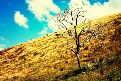 Scenic view of field against cloudy sky