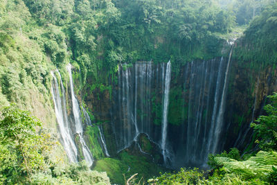 Scenic view of waterfall in forest