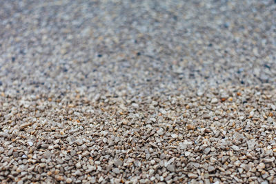 Surface level of pebble beach