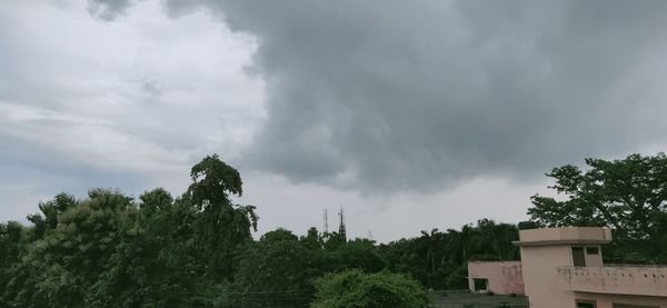 Trees and buildings against sky