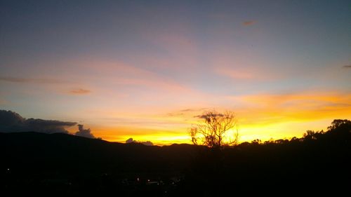 Silhouette trees against sky during sunset