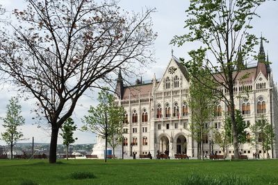 Lawn with buildings in background