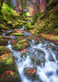 Stream flowing through rocks in forest