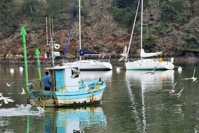 Sailboats moored in river