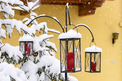 Close-up of ice hanging on tree