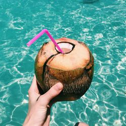 Cropped hand having coconut by sea