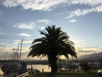 Palm trees by swimming pool against sky during sunset