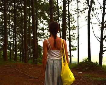 Rear view of woman standing by trees in forest