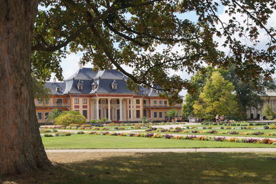 Trees and lawn in front of building