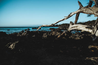 Scenic view of sea against clear sky