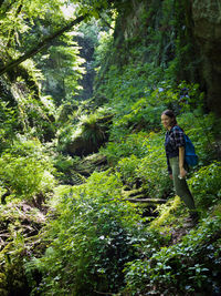 Side view of woman hiking in forest
