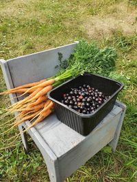 High angle view of fruits berry and carrots in container on field in summer