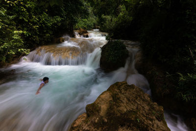 Scenic view of waterfall in forest