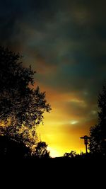 Silhouette of trees at sunset