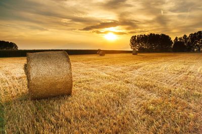 Scenic view of haybale on field at sunset